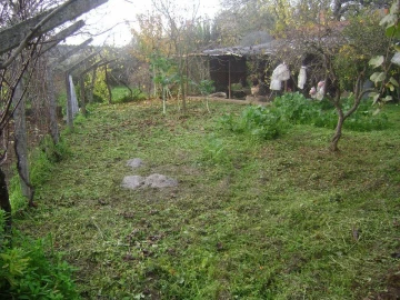 Terreno Agricola ou Rústico para Venda em Salgueiro do Campo