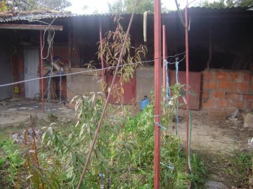 Terreno Agricola ou Rústico para Venda em Salgueiro do Campo