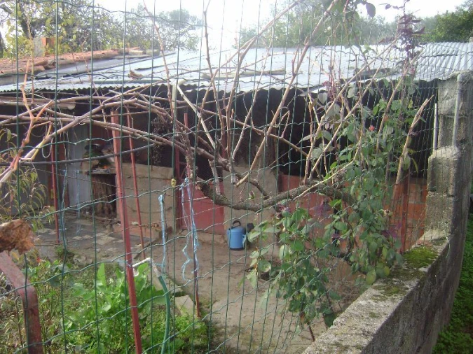 Terreno Agricola ou Rústico para Venda em Salgueiro do Campo Foto 4