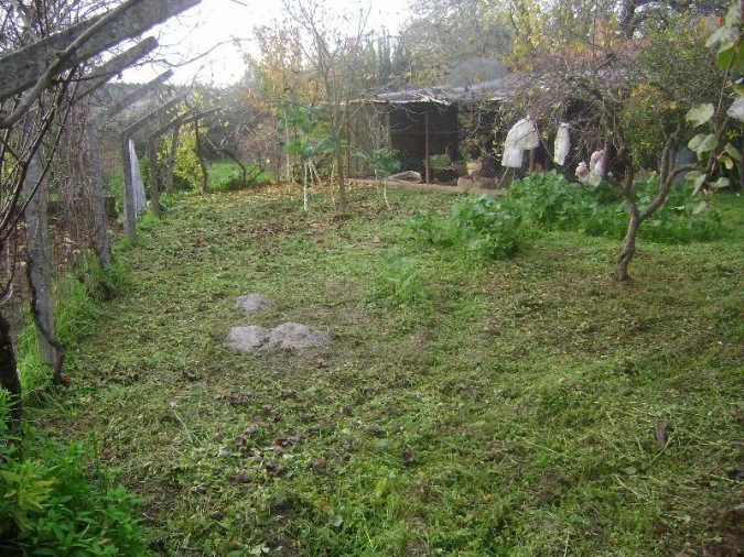 Terreno Agricola ou Rústico para Venda em Salgueiro do Campo Foto 11