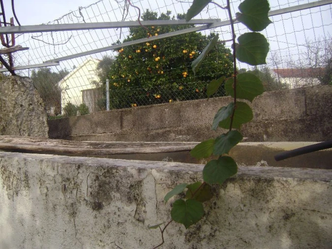 Terreno Agricola ou Rústico para Venda em Salgueiro do Campo Foto 13