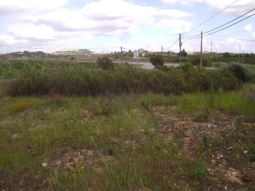 Terreno para Venda em Castelo Branco