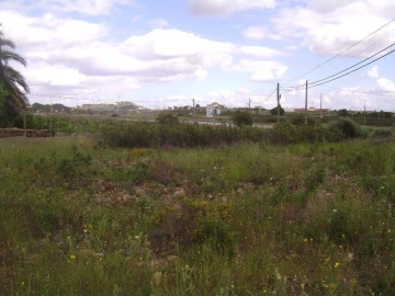 Terreno para Venda em Castelo Branco