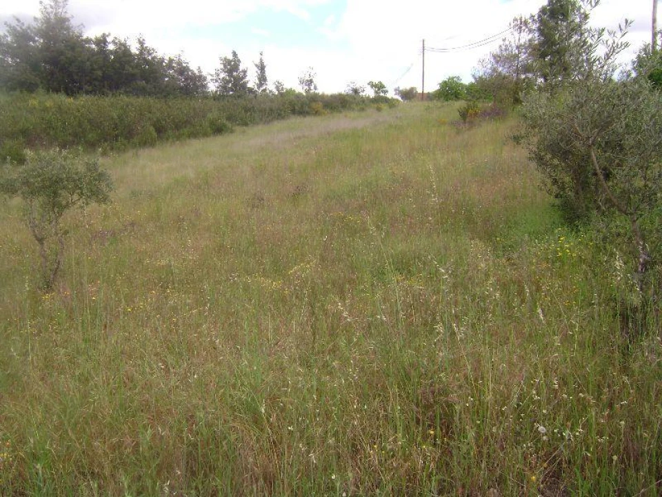 Terreno para Venda em Castelo Branco Foto 10
