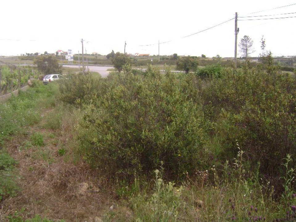 Terreno para Venda em Castelo Branco Foto 7