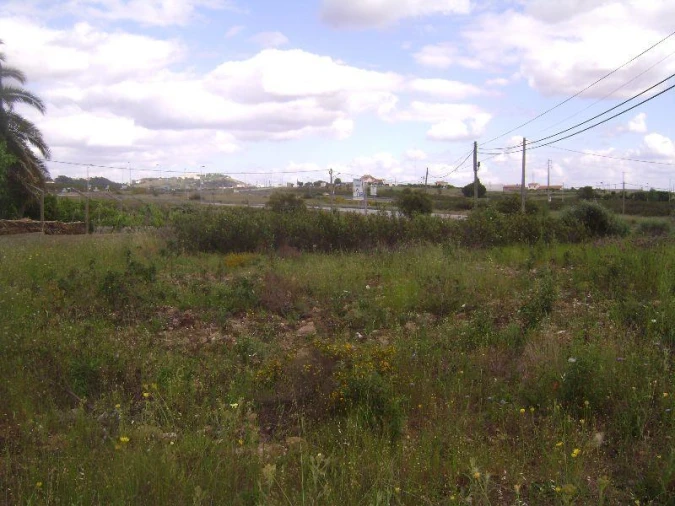 Terreno para Venda em Castelo Branco Foto 4