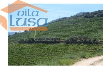 Quinta T6 para Venda em Armamar