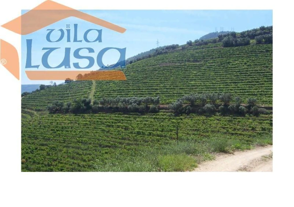 Quinta T6 para Venda em Armamar Foto 1