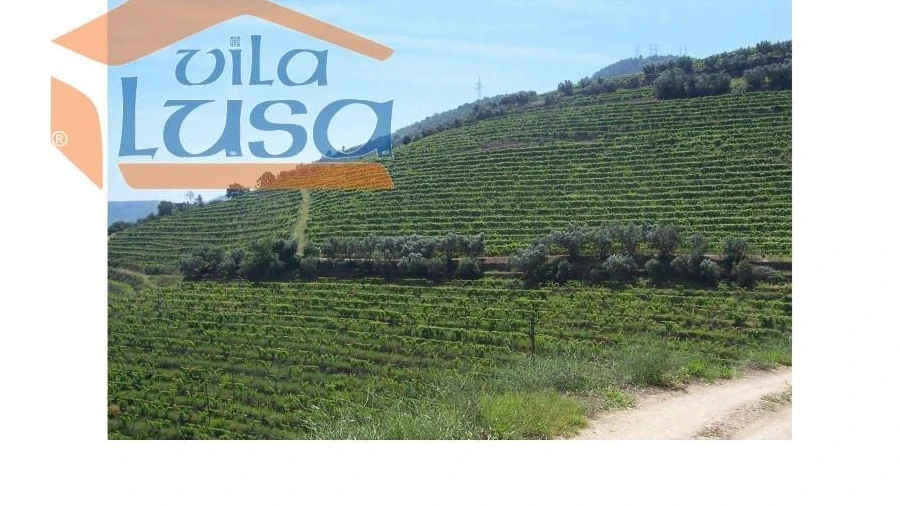Quinta T6 para Venda em Armamar