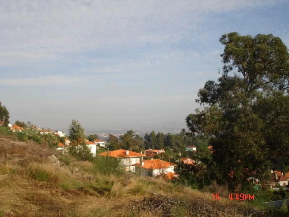 Negócio para Venda em Cervães Foto 7