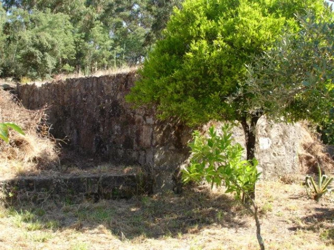 Negócio para Venda em Cervães Foto 3