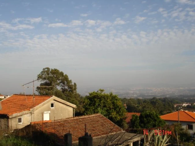 Negócio para Venda em Cervães Foto 5