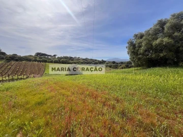 Terreno para Venda em Aveiras de Cima