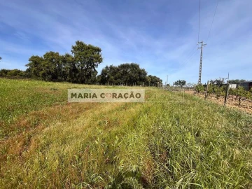 Terreno para Venda em Aveiras de Cima