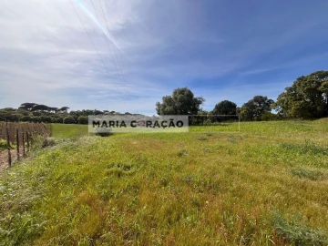 Terreno para Venda em Aveiras de Cima