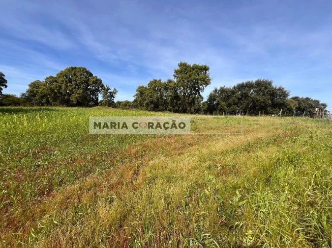 Terreno para Venda em Aveiras de Cima Foto 4
