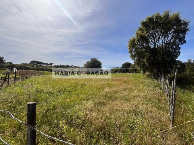 Terreno para Venda em Aveiras de Cima Foto 6