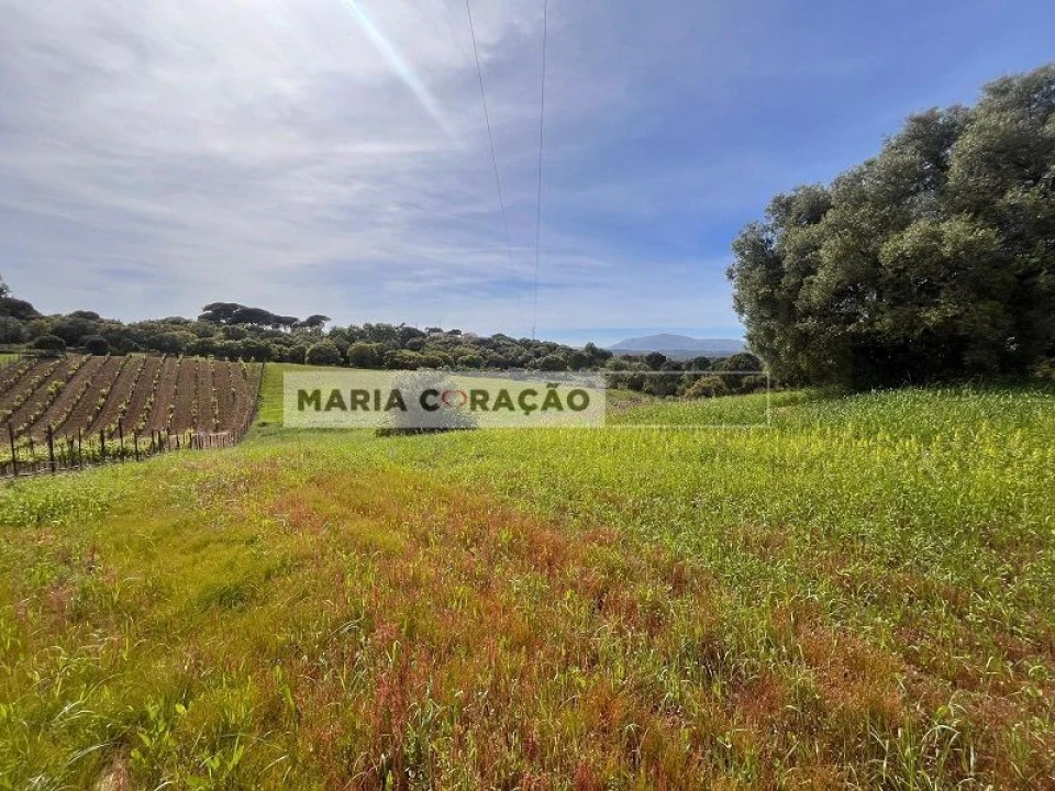 Terreno para Venda em Aveiras de Cima Foto 2