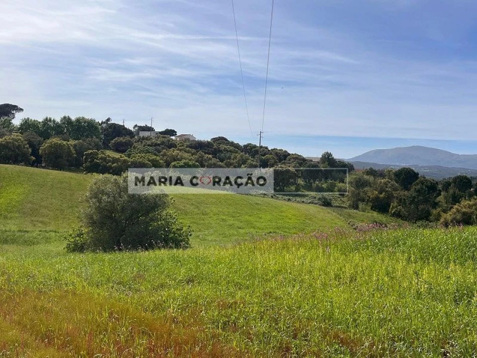 Terreno para Venda em Aveiras de Cima Foto 3