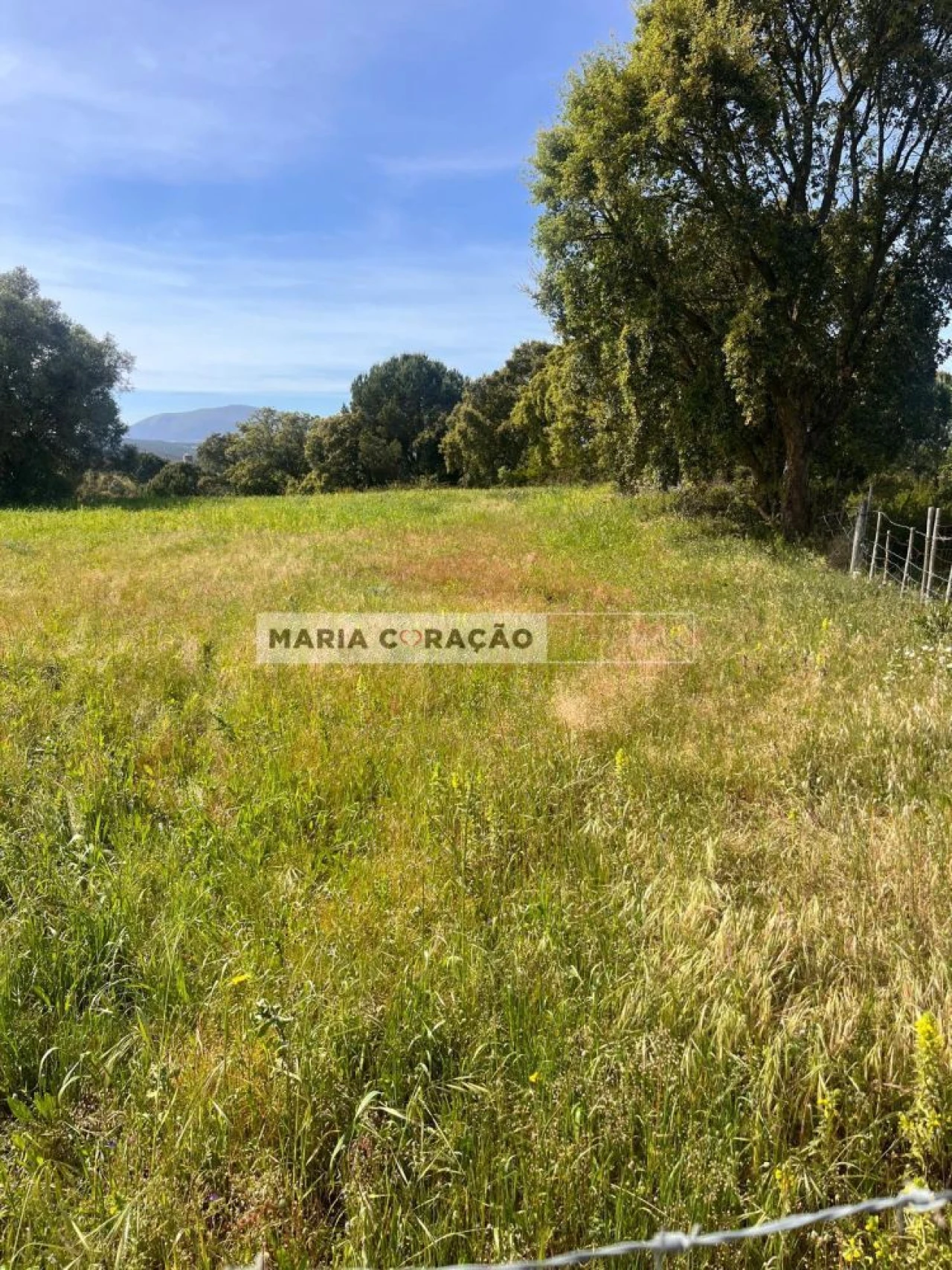 Terreno para Venda em Aveiras de Cima Foto 8