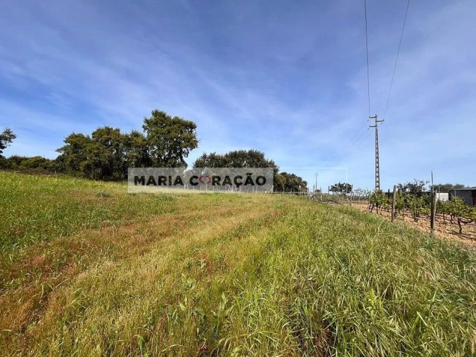 Terreno para Venda em Aveiras de Cima Foto 5