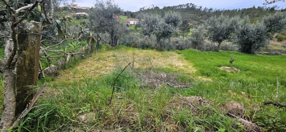 Moradia T2 para Venda em Sarzedas