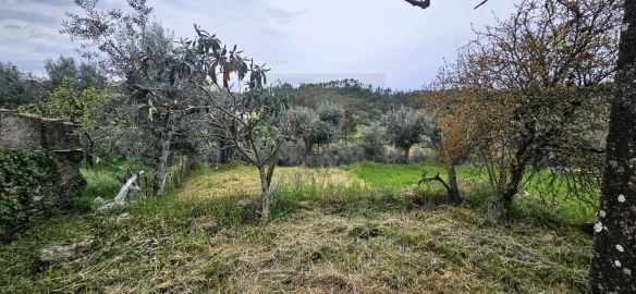 Moradia T2 para Venda em Sarzedas