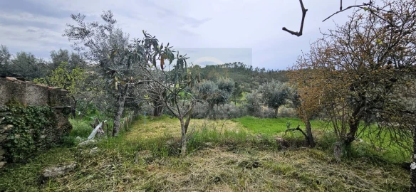 Moradia T2 para Venda em Sarzedas