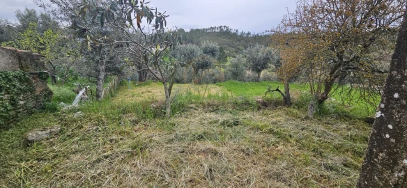 Moradia T2 para Venda em Sarzedas