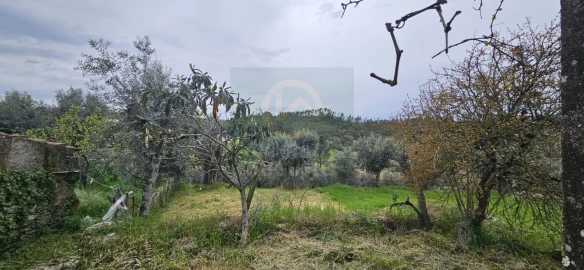 Moradia T2 para Venda em Sarzedas