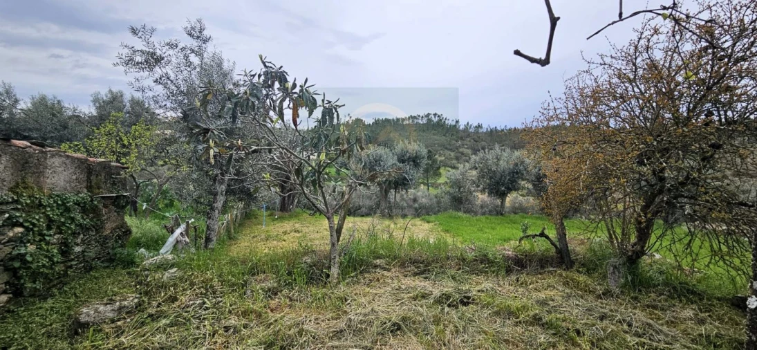 Moradia T2 para Venda em Sarzedas Foto 22