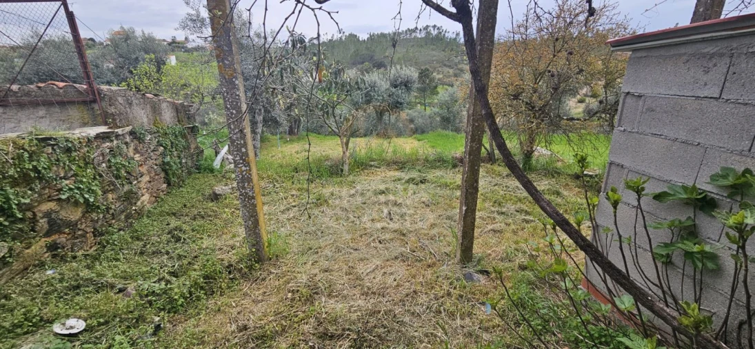 Moradia T2 para Venda em Sarzedas Foto 25