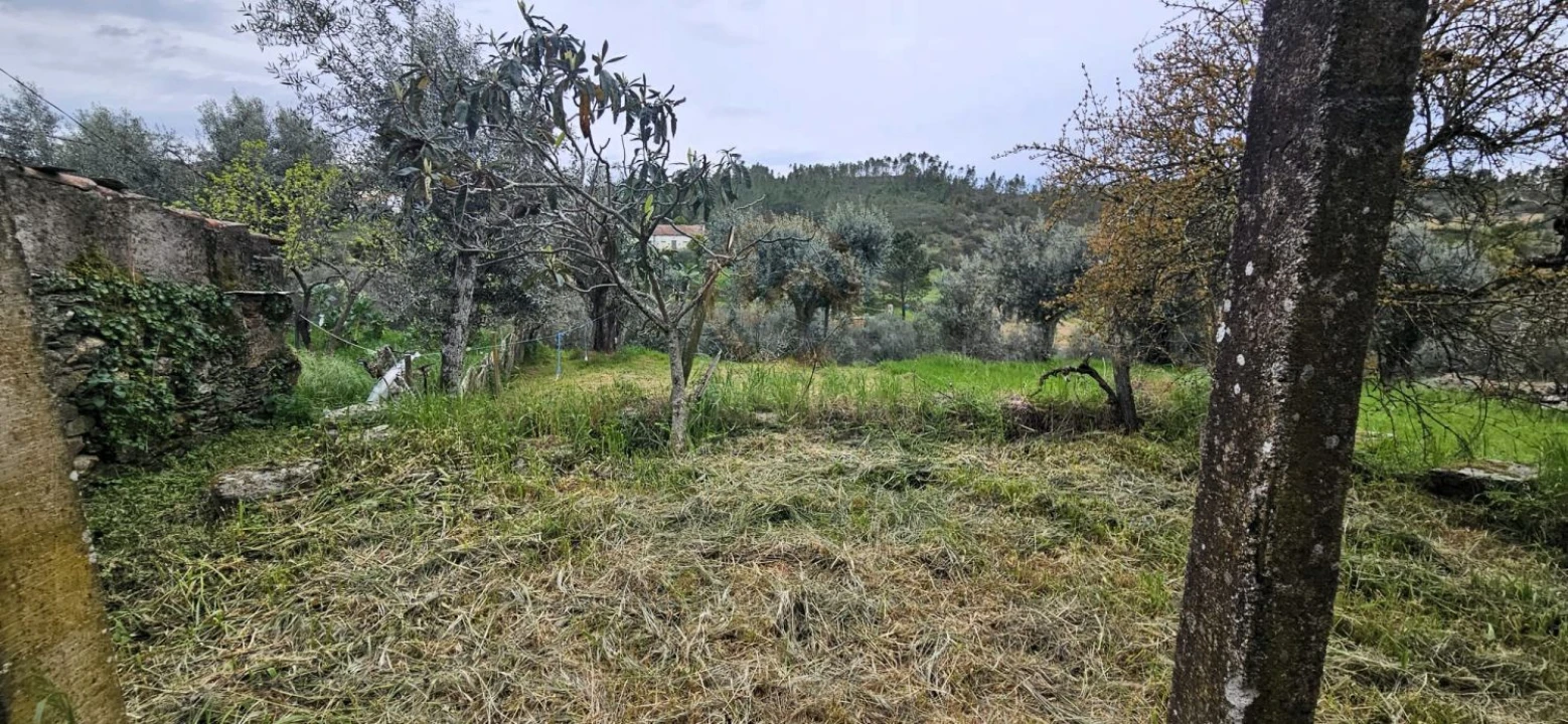 Moradia T2 para Venda em Sarzedas Foto 21