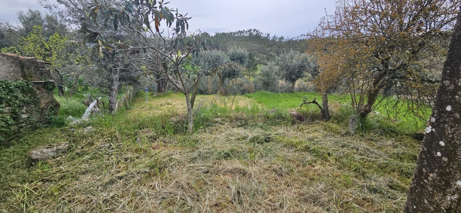 Moradia T2 para Venda em Sarzedas Foto 24