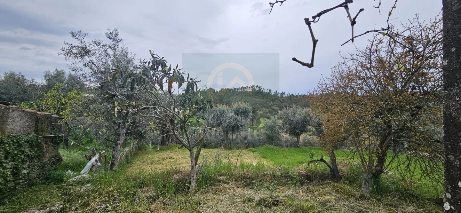 Moradia T2 para Venda em Sarzedas Foto 23