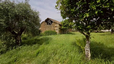 Quinta para Venda em Salgueiro do Campo