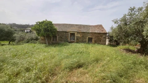 Quinta para Venda em Salgueiro do Campo