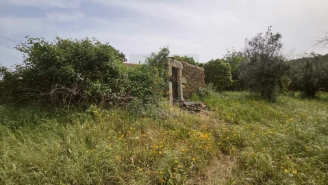 Quinta para Venda em Salgueiro do Campo