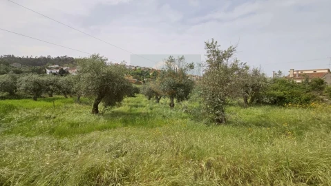 Quinta para Venda em Salgueiro do Campo