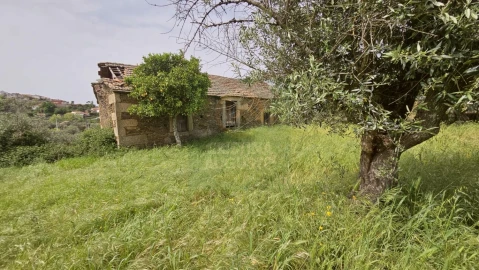 Quinta para Venda em Salgueiro do Campo