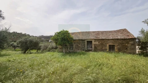 Quinta para Venda em Salgueiro do Campo