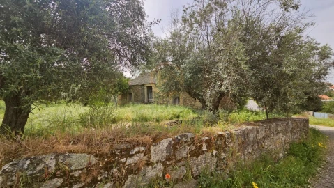 Quinta para Venda em Salgueiro do Campo
