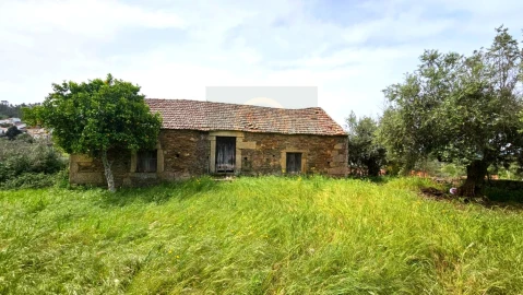 Quinta para Venda em Salgueiro do Campo