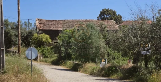 Quinta para Venda em Salgueiro do Campo