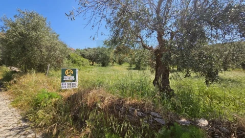 Quinta para Venda em Salgueiro do Campo