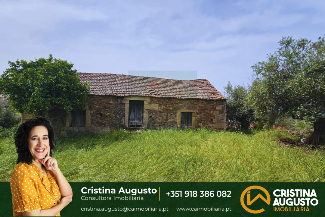 Quinta T0 para Venda em Salgueiro do Campo Foto 1
