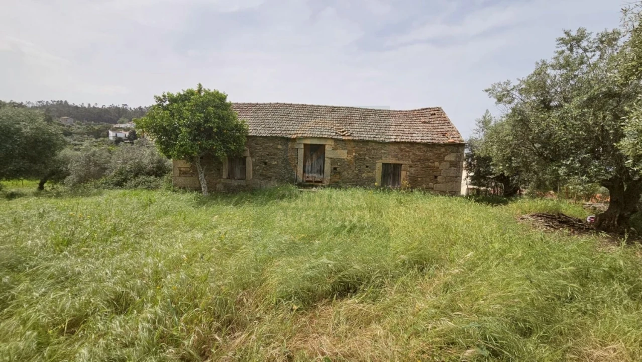 Quinta para Venda em Salgueiro do Campo Foto 4