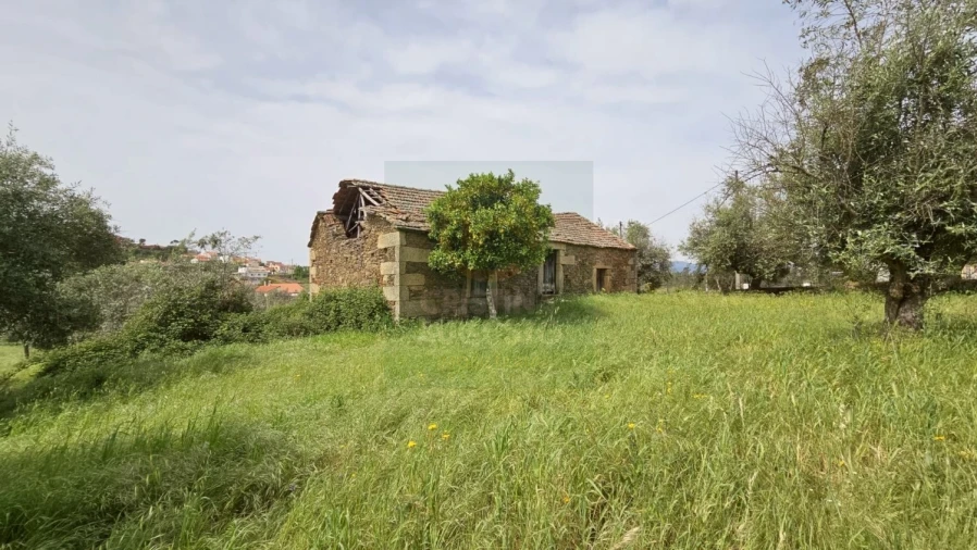 Quinta para Venda em Salgueiro do Campo Foto 8