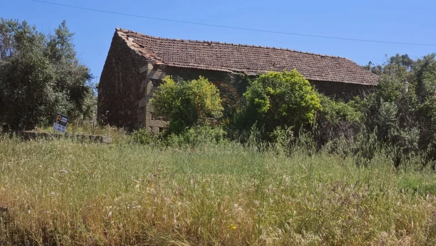 Quinta para Venda em Salgueiro do Campo Foto 13