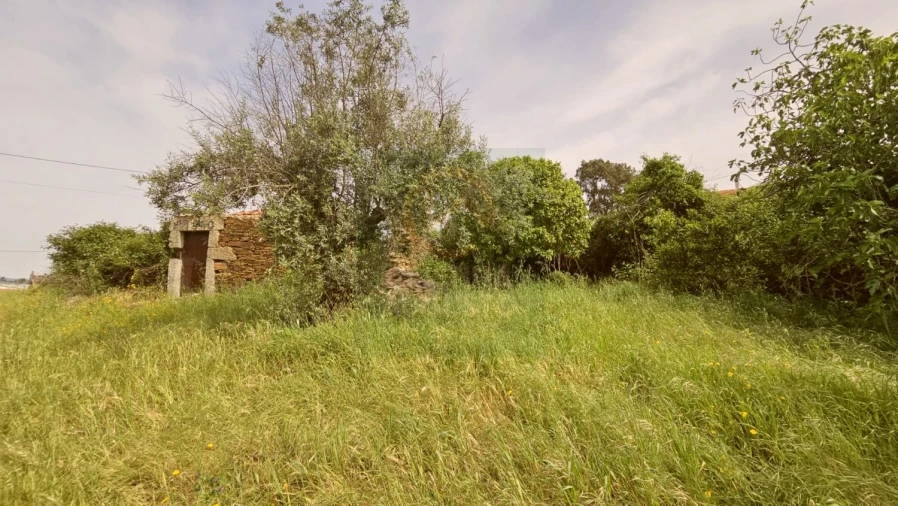 Quinta para Venda em Salgueiro do Campo Foto 3